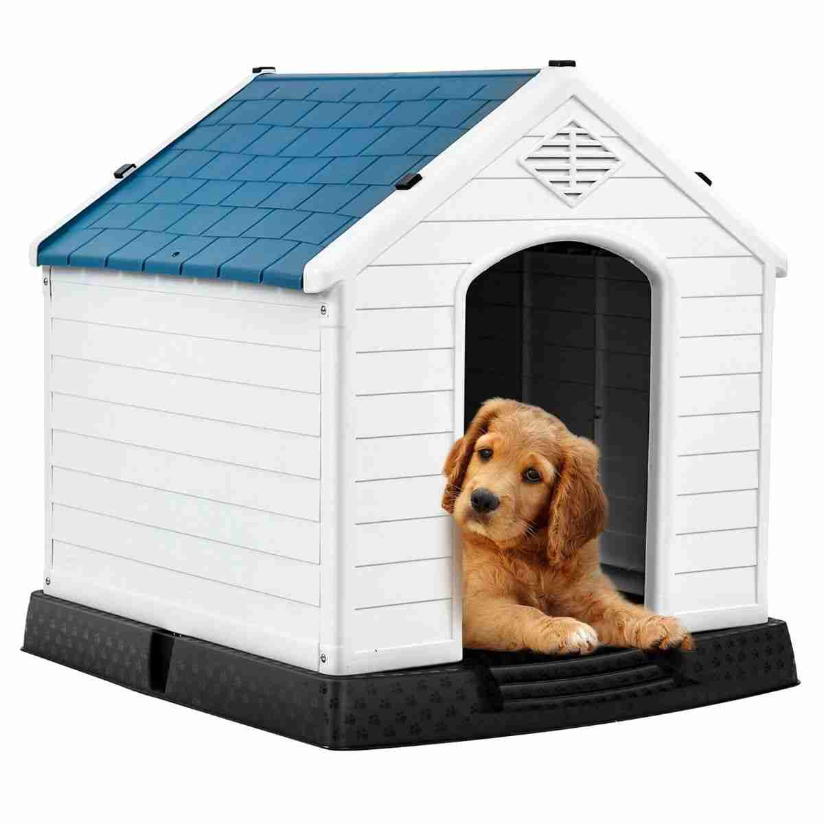 Pet Supplies