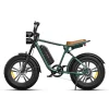 26AH 750W Electric Motorcycle 20 inch Fat Tire Ebike