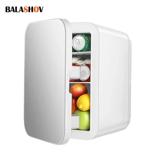 12V/220V Mini Fridge Refrigerator