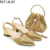 Luxury Italian Style Low Heel Shoe and matching Bag