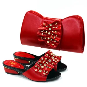 Ladiy’s Platform Sandals Shoes And Bag Set